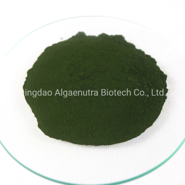 Natural Chlorella Pyrenoidosa Algae Powder for Human Nutrition Foods Grade