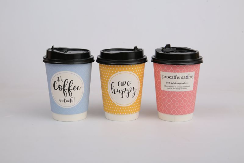 Disposable Double Wall Paper Hot Coffee Paper Cup Hot Drinking Cup