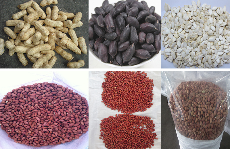 Red Peanut, Blanched Peanut Kernels, Bold Peanuts Blanched Red Peanuts Raw Peanuts Kernel / Raw Peanut in Shell