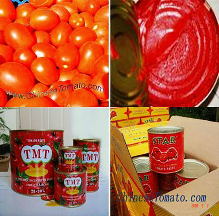 Double Concentrated 28-30% Brix 70g Tin Tomatoes Paste Sachet Tomato Paste