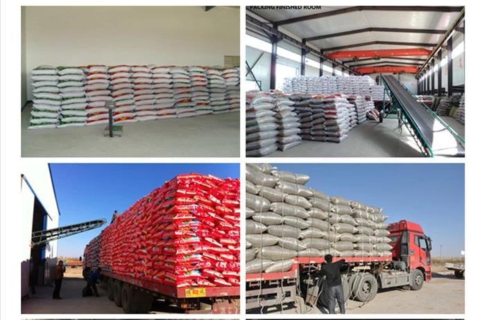 Chinese Factory Natural Chinese Best Quality Blanched Peanut Kernels
