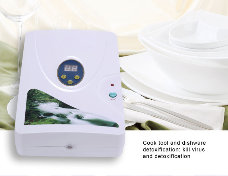 China Supply Ozone Sterilization Water Purifier for Vegatable and Fruit