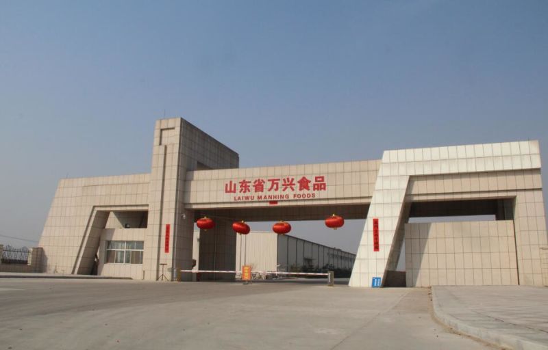 New Crop Factory Supplier Spicy Chinese Fresh Normal White Garlic
