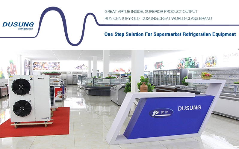 Food Cold Showcase Display Commercial Refrigerators for Convenience Store and Mini Shop
