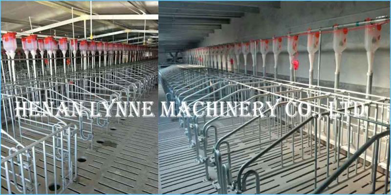 Automatic Pig/Sow/Piglet/Hog/Swine Poultry Feeding System for Sale