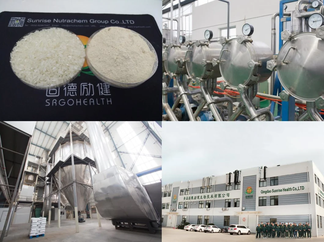 Natural Vegan Food Superfood Rice Protein in EU Warehouse
