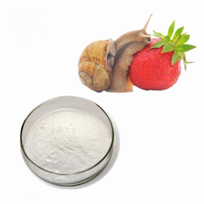 Kin Care Product Helix Aspersa Snail Extract Snail Slime Powder