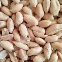 Hot Sale Spicy Groundnut Peanut