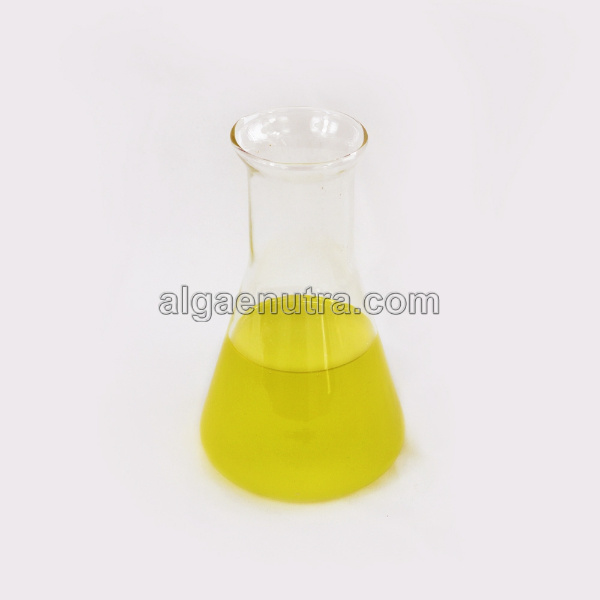 Refined Grade DHA Algal Oil Docosahexaenoic Algal Oil 45% 50%