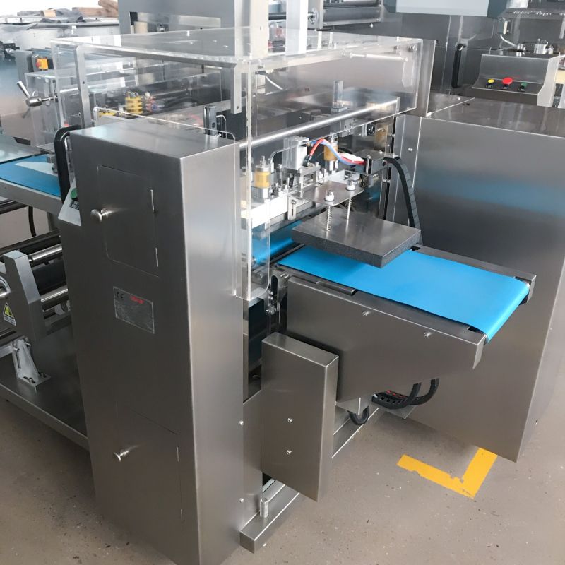 Servo and PLC Control Automatic Packing Machine for Vegetables/Fresh Noodles/Chapati/Roti