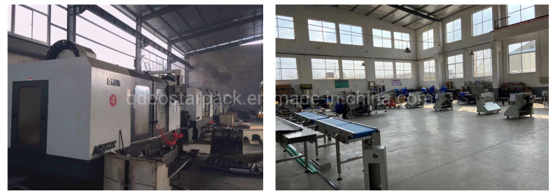 Automatic Food Packaging Machinery for Dry Instant Noodles Family Pack
