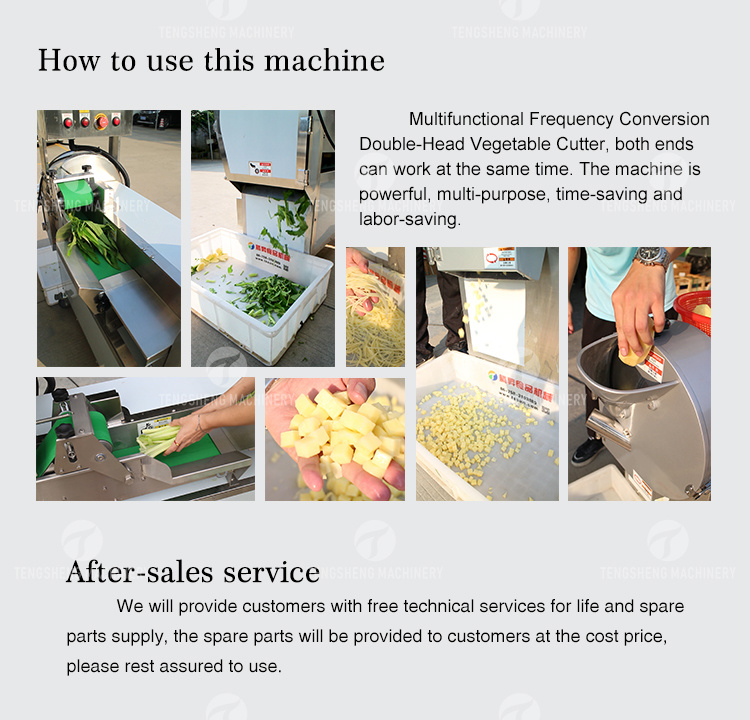 Potato Dicer Wave Strip Potato Slicing Machine Leafy Vegetable Cutting Machine (TS-Q118)