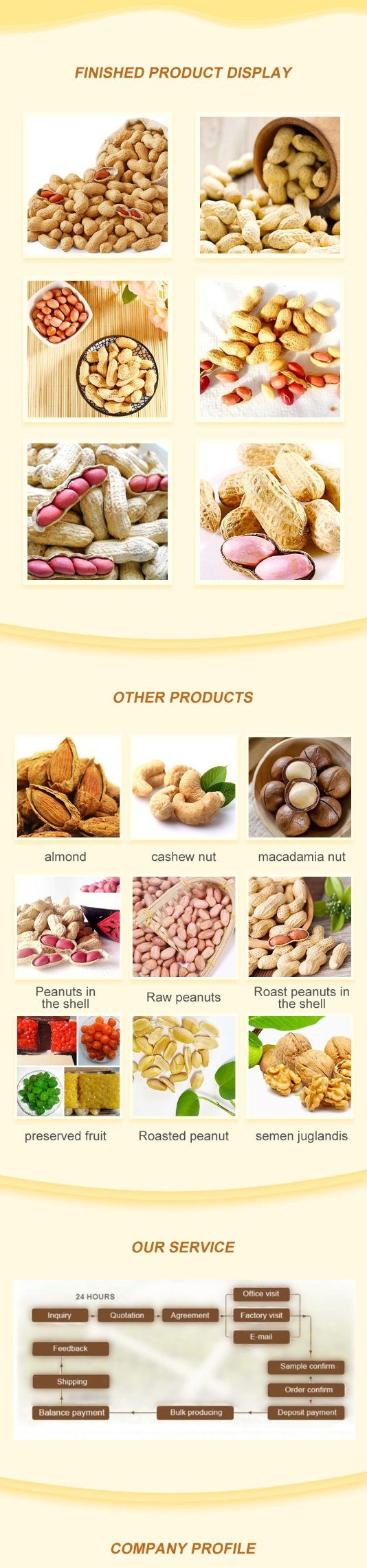 Chinese Factory Chinese Peanuts in Shell with Competitive Price