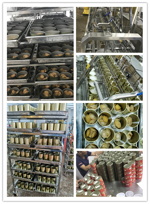 Ready to Eat Cook Abalone Canned 425g