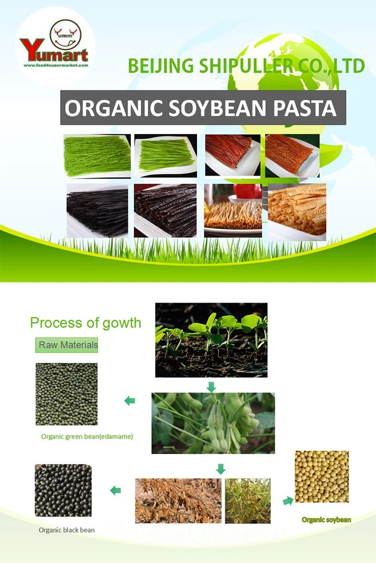 Healthy Natural Low-Fat Low-Calorie Soybean Pasta Noodles