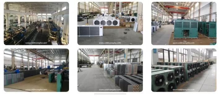 Refrigeration Chilling Room and Cold Storage for Potato