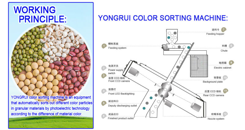 Mini Small Red Beans, Black Beans, Green Beans, Soybeans, Lentils, Kidney Beans, Chickpeas Color Sorter Machine