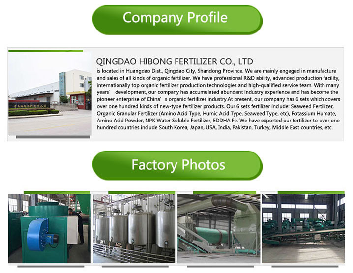 Seaweed Micronutrient Iron Fertilizer for Lettuce