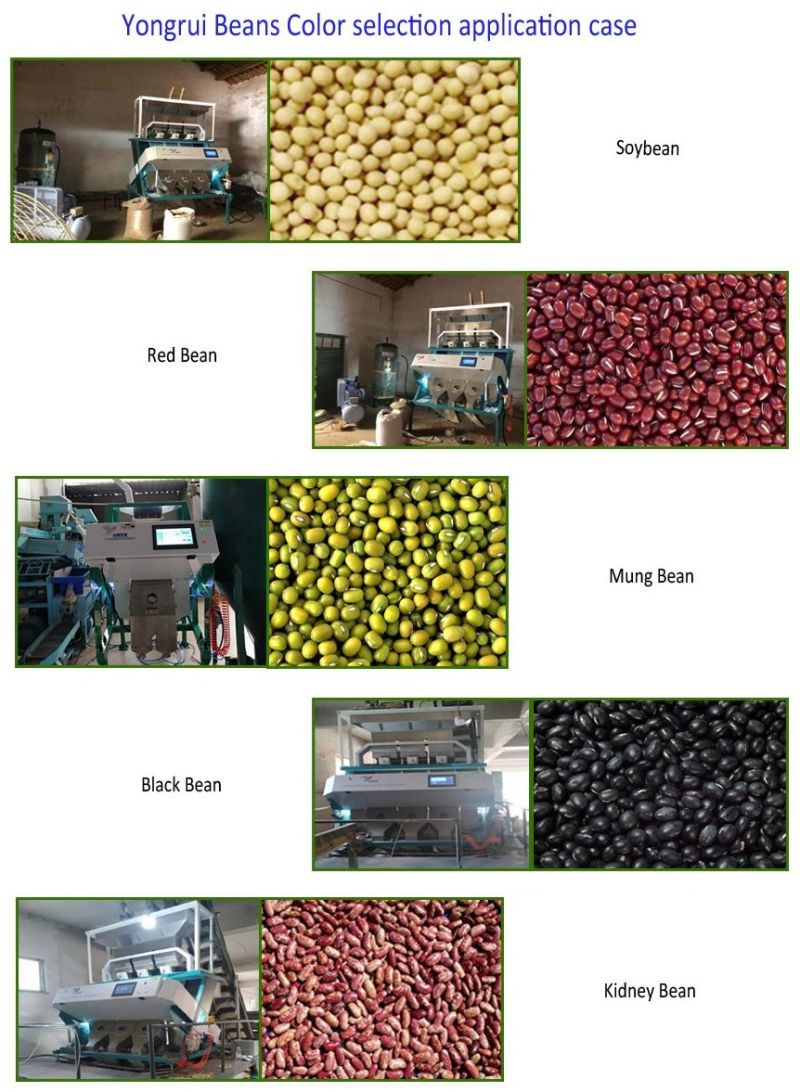High Definition CCD Camera Red Beans, Black Beans, Green Beans, Soybeans, Lentils, Kidney Beans, Chickpeas Color Sorting Machine