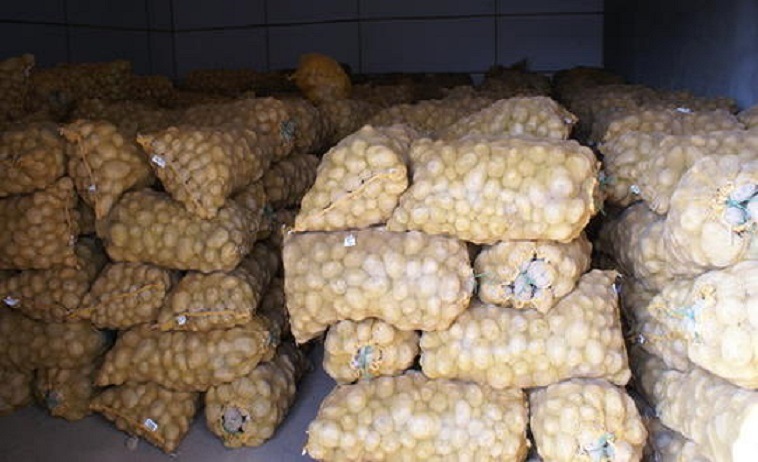 New Crop Selected A Grade Fresh Potatoes