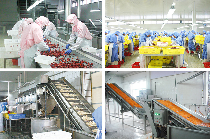 Production Line Export Bulk Sweet Frozen Sweet Potatoes in Price