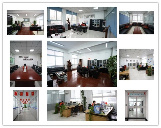 Professional Mung Beans Color Sorter Machine Beans Color Processing
