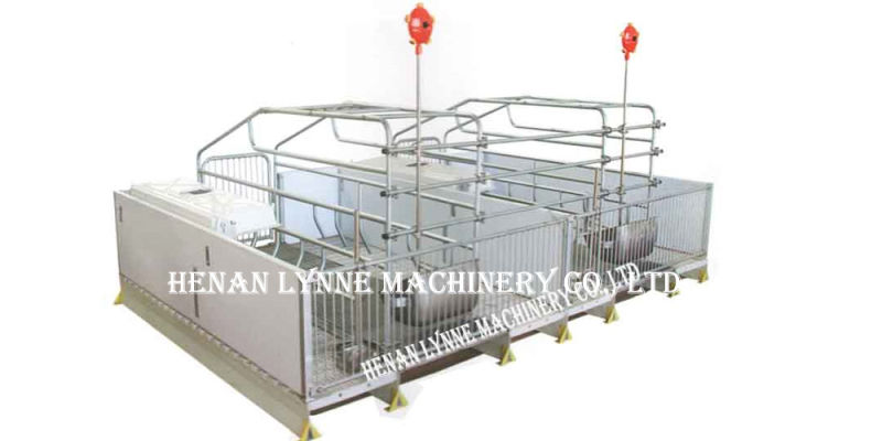 Poultry Pig Farming System of Pig Feeder, Pig Crates, Pig Water Drinker