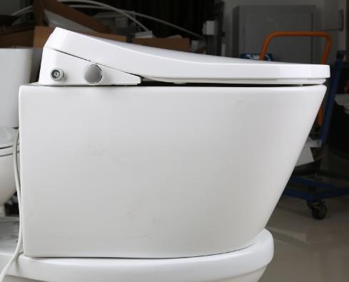 Hot Sale Smart Toilet Bidet Instant Heating Tankless Bidet