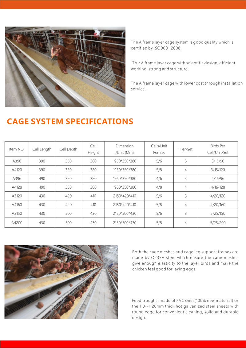 Layer Chicken Cage with Fully Automatic Equipment System