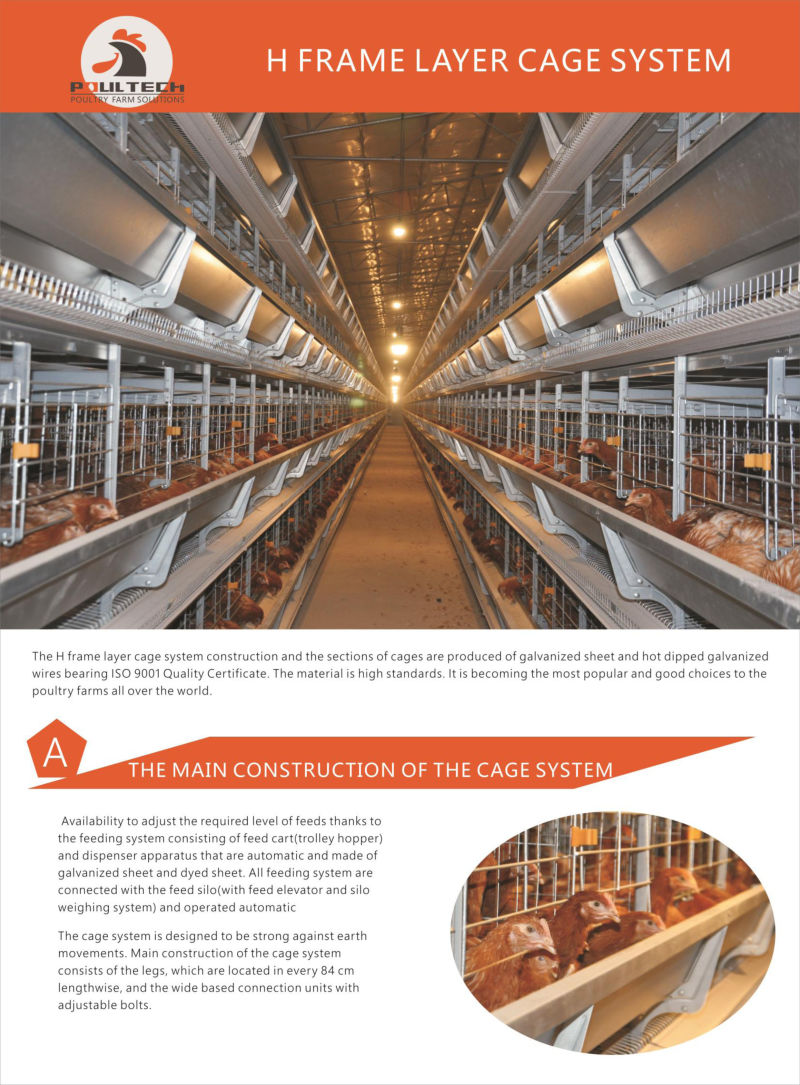 H Type Layer Chicken Cage with Fully Automatic Equipment