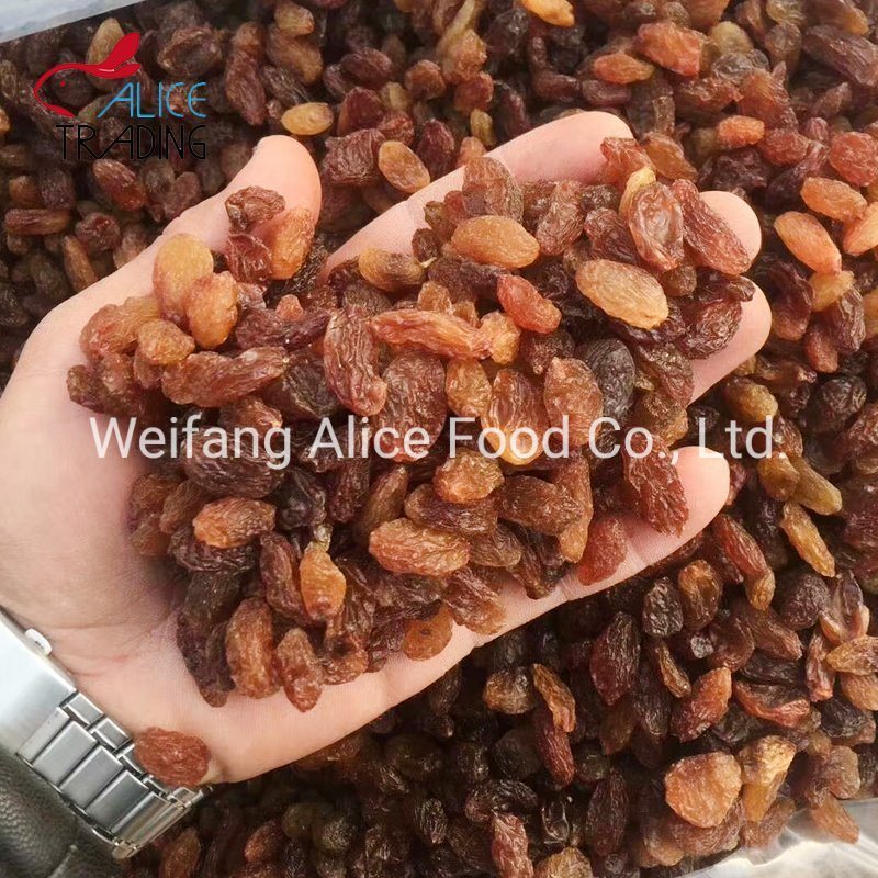 Wholesale Dried Fruits Price Dried Red Raisins Dried Sultana Xinjiang Raisins