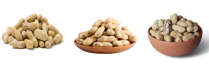 Peanuts Java Peanuts/ Raw Peanuts Kernel / Raw Peanut in Shell
