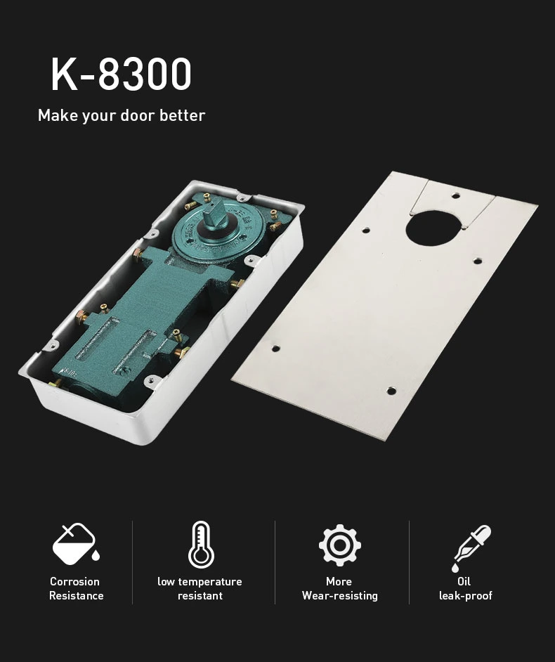 King Quality Korea Popular Model Glass Door Floor Spring K-8300/1