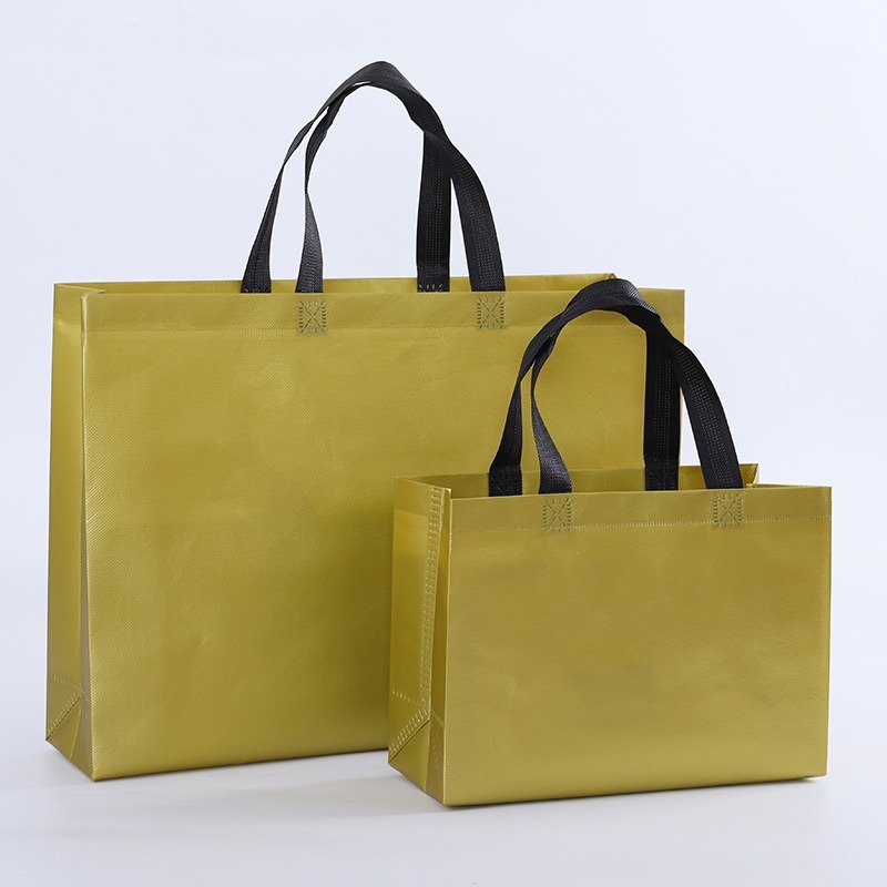 Custom Shopping Bags Eco Friendly Shopping Bags Non Woven Bags