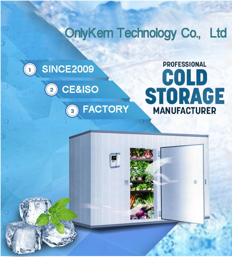 Hot Sale Modular Potato Cold Store Fruit and Vegetables