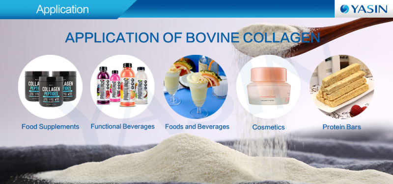 Buy Bovine Collagen Protein Powder on Beef Protein for Hair Care Protein Treatment