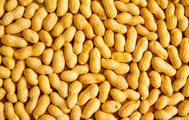 Wholesale Flavored Peanut Spicy Peanuts