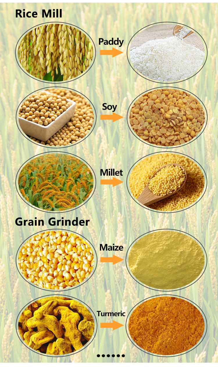 Mini Grain Milling Combined Wheat Grinder Auto Rice Mill in Bangladesh
