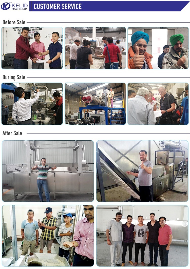 Ce Automatic Soya Flakes Chunks Mince Meat Protein Plant