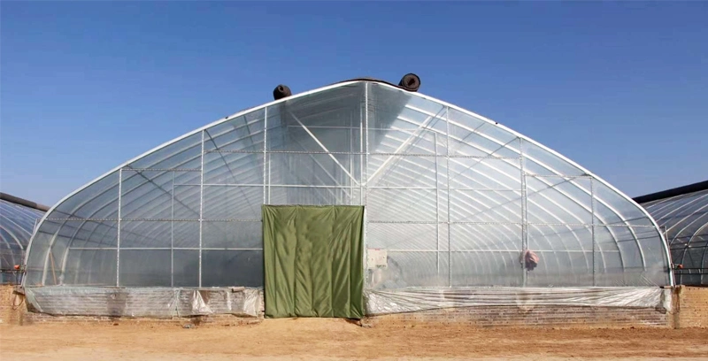 Oval Tube Greenhouse for Mushroom Chicken Pig Farming