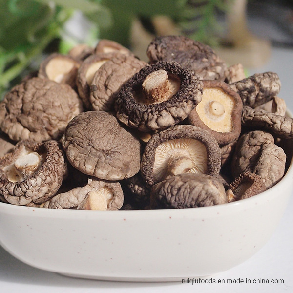 China Shiitake Mushrooms Dried Whole Mushrooms Hot Sale