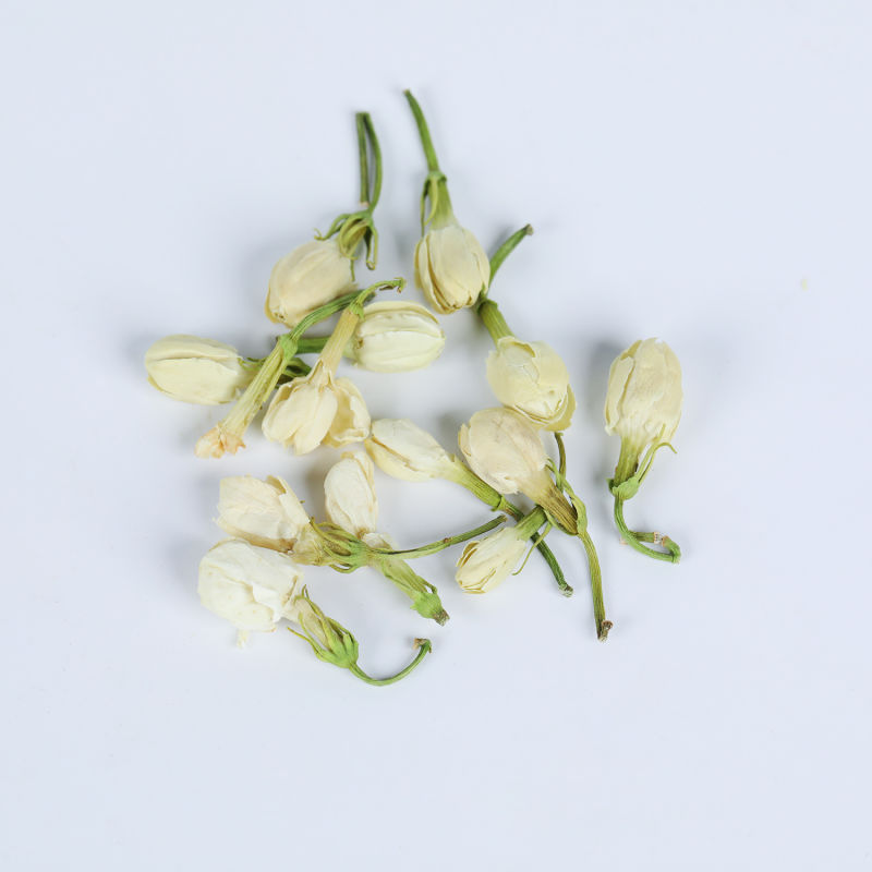 Dried Jasmine Flower with Free Sample Fresh and Spicy