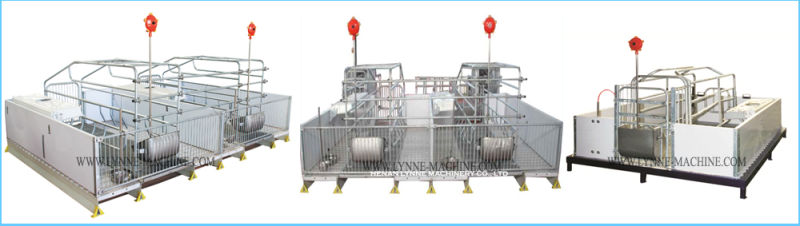 Automatic Metal Pig Hog Trough Feeder with 304 Stainless Steel for Sale