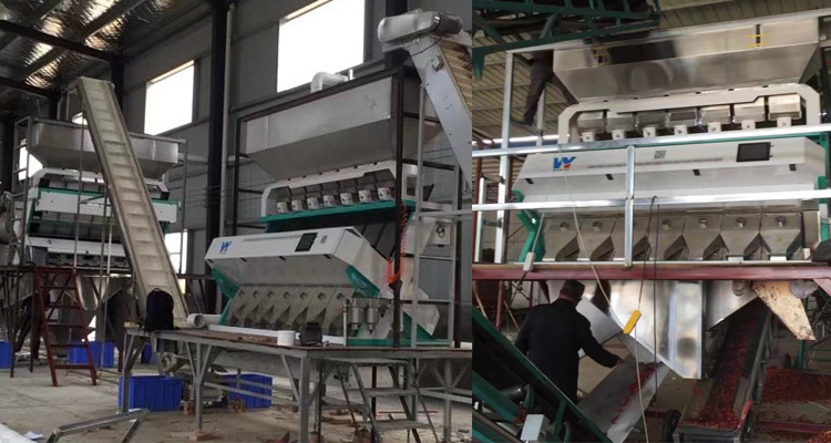 All LED Light Rice Color Sorter Rice Color Sorting Machine Rice Processing Machine