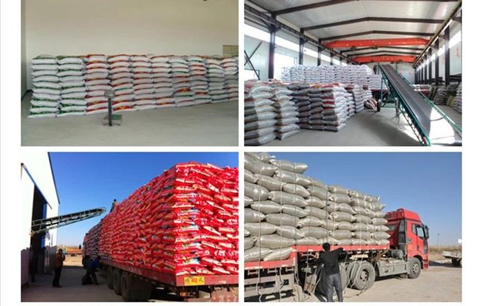 Chinese Best Quality Blanched Peanut Kernels Chinese Factory