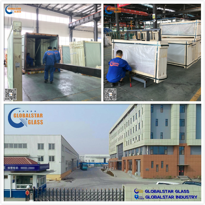 4mm, 5mm, 6mm Pyrolytic Float Glass / Building Glass/ Tinted Glass/ Tempered Glass/ Grey Glass/ Window Glass/ Glass Door/ Tempered Glass