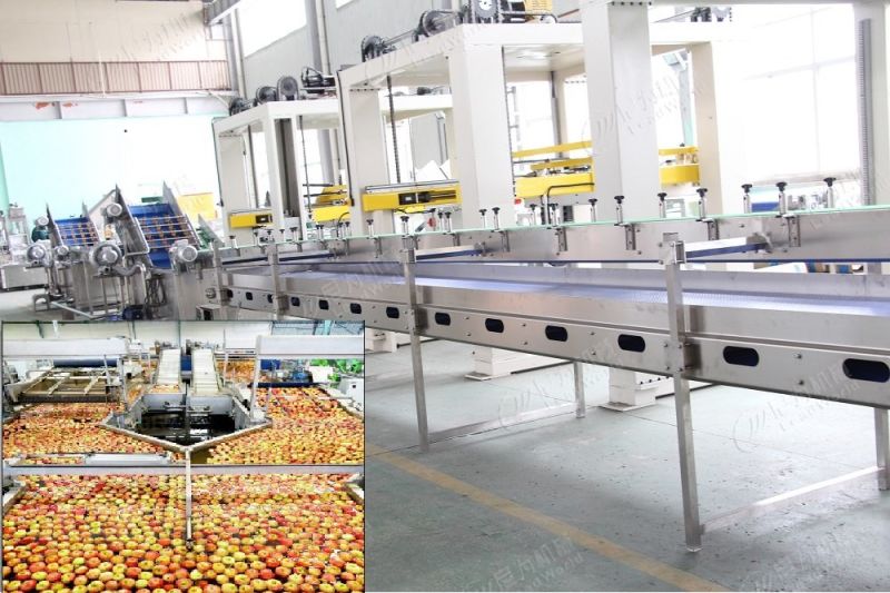 High Quality and Best Price Cleaner Washing Machine for Salad Vegetable Fruit/Used for Washing Potatoes and Tomatoes