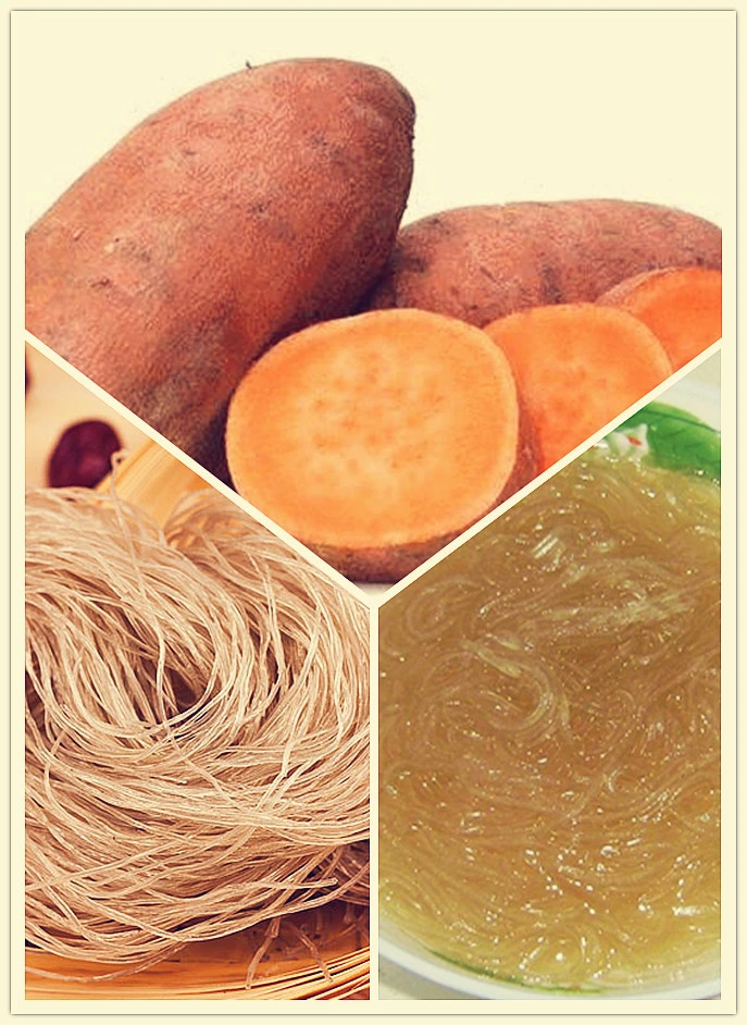 100% Sweet Potato Starch Vermicelli Easy to Prepare and Cook