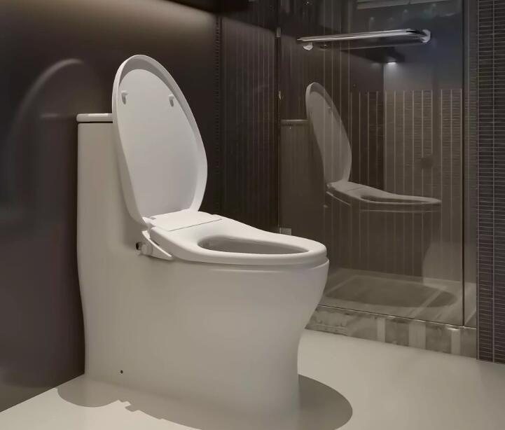 Hot Sale Smart Toilet Bidet Seat Instant Heating Tankless Bidet Toilet Seat