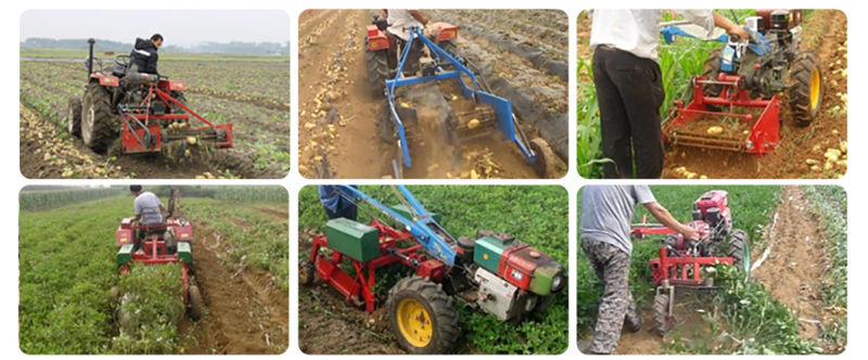 CE Certificated Sweet Potatoes Combine Harvester Parts Garlic Harvester for Sale
